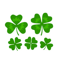 Leaves of clover Royalty Free Vector Image - VectorStock