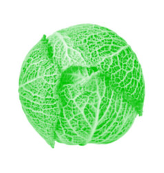 Savoy Cabbage Vegetable One Isolated From Circle