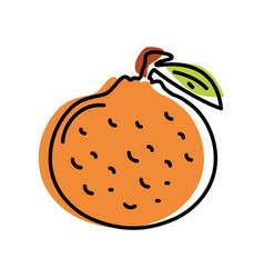 Grapefruit Fresh Icon