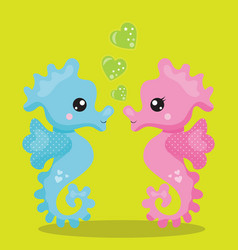 Seahorse Couple 05