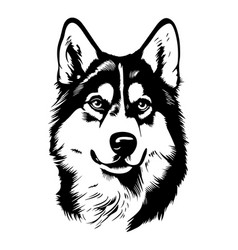 A Husky In Black And White Style