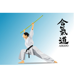 Oriental Combat Sports Aikido Colored 3d