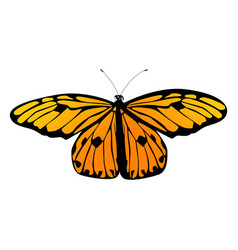 Small Orange Butterfly