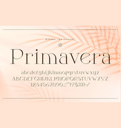 Minimal Elegant Font Glamor Alphabet Type