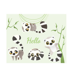 Lemur Animal Baby Set Of Objects