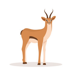 Stylized African Antelope Gazelle With Horns