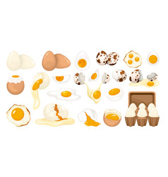 Whole And Cracked Poultry Eggs Set