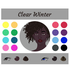 Seasonal Color Analysis Palette For Clear Winter