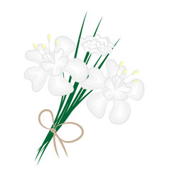 White Flowers Spring Flower Isolated On