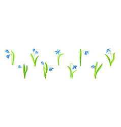 Blue Snowdrop Flower On Green Stem With Leaf