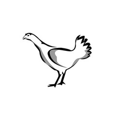 Chicken Logo Stock Silhouette