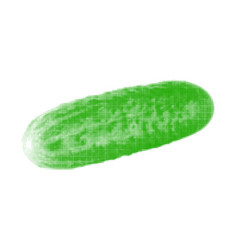 Cucumber Whole Vegetable Isolated From Circle