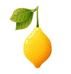 Image Of Yellow Lemon With Green Leaves