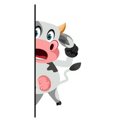 Scared Cow On White Background