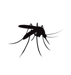 Black Mosquito Silhouette