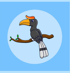 Hornbill Cartoon