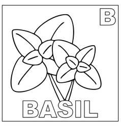 Coloring Book For Children Basil