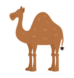 One-humped African Camel Dromedary Cartoon