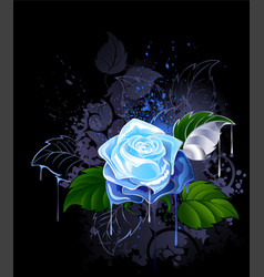 Blue Rose