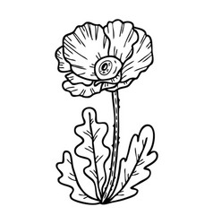 Hand Drawn Big Eyed Doodle Poppy Flower Plant