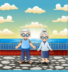 Happy Old Couple Standing Near Sea