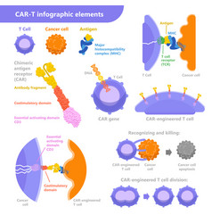 Car-t Cell Immunotherapy For Cancer Treatment