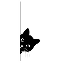 Peeping Cat