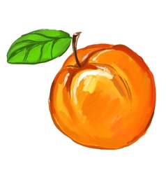 Peach Of Ink Hand Drawn