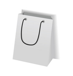 Shopping Bag Icon