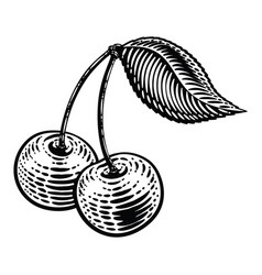 Cherry Berry Fruit In A Vintage Retro Woodcut