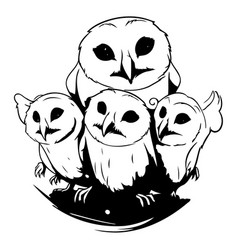 Owl Family Of A Group Of Owls