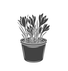 Crocus In A Pot Glyph Icon