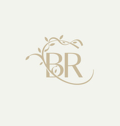 B R Br Beauty Initial Logo Handwriting