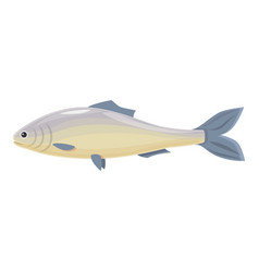 Trout Herring Icon Cartoon Sea Fish