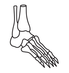 Skeleton Foot Profile Stroke