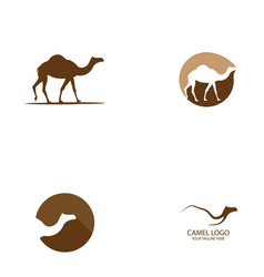 Camel Logo Design