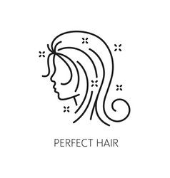 Hair Health Care And Styling Thin Line Icon