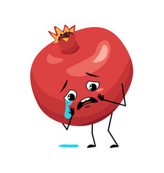 Pomegranate Character With Crying And Tears