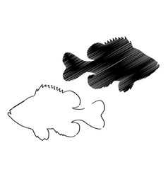 Pumpkinseed Sunfish Silhouette