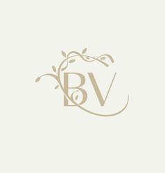 B V Bv Beauty Initial Logo Handwriting