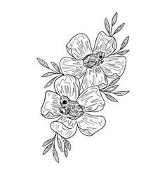 Graphic Of A Flower And Frog Line Art Sketch