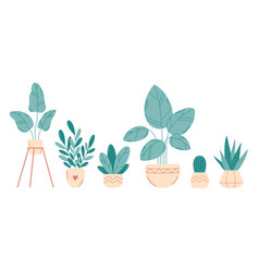 Home Potted Plants Houseplants Interior