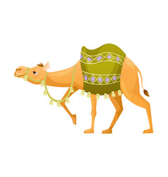 Brown Camel As Even-toed Ungulate Desert Animal