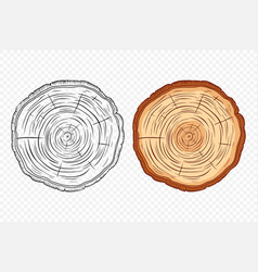 Tree Rings Oak And Pine Slices Lumber And