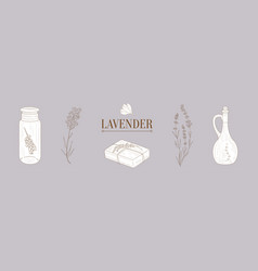 Lavender Products Clipart Elements Hand Drawn