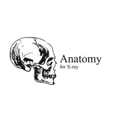 Hand Drawn Anatomy On White And Black Backgrounds