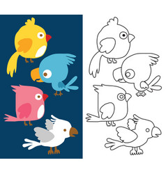 Cartoon Of Funny Birds Coloring Book Or Page