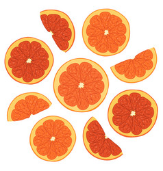 Color Of Fresh Orange Slices