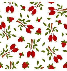 Seamless Pattern Of Rosehip Branches And Red