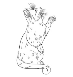 Cat Standing On Two Hind Legs Line Art